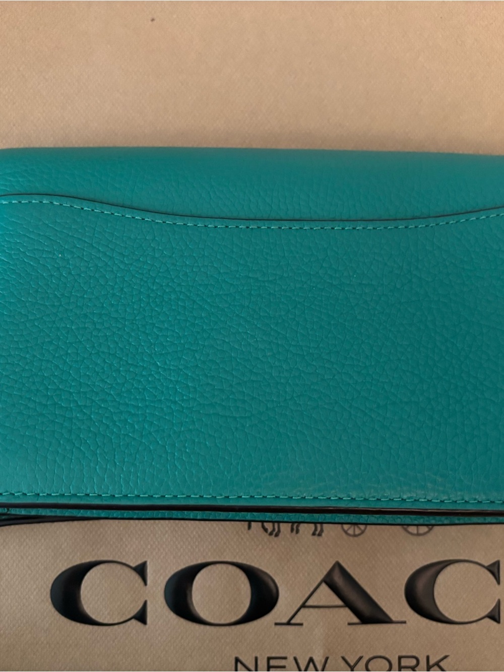 Coach Turquoise Leather C-Logo Chain Crossbody - Picture 3 of 11